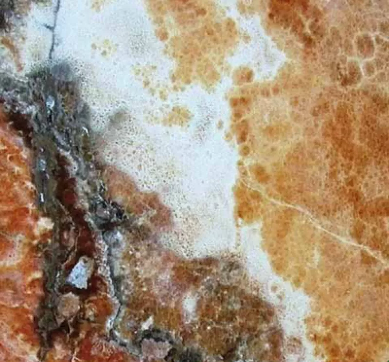 Đá Onyx Cappuccino