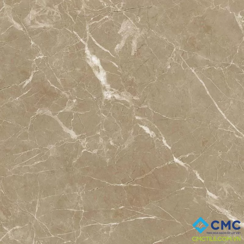 Gạch lát màu xám nhạt vân trắng PT 60004