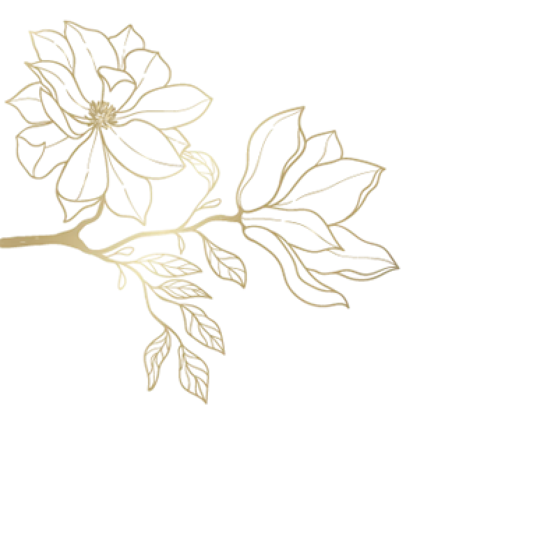 BỘ GHẾ ĐƠN MODEL 01