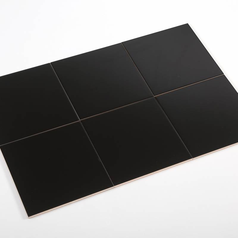 Gạch thẻ vuông đen mờ phẳng 100*100mm M1107Y