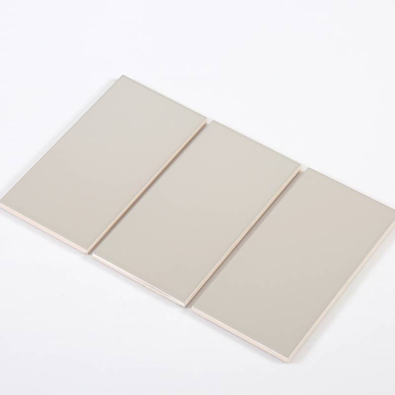 Gạch thẻ màu xám nhạt mờ phẳng KT 100*200mm M1202Y
