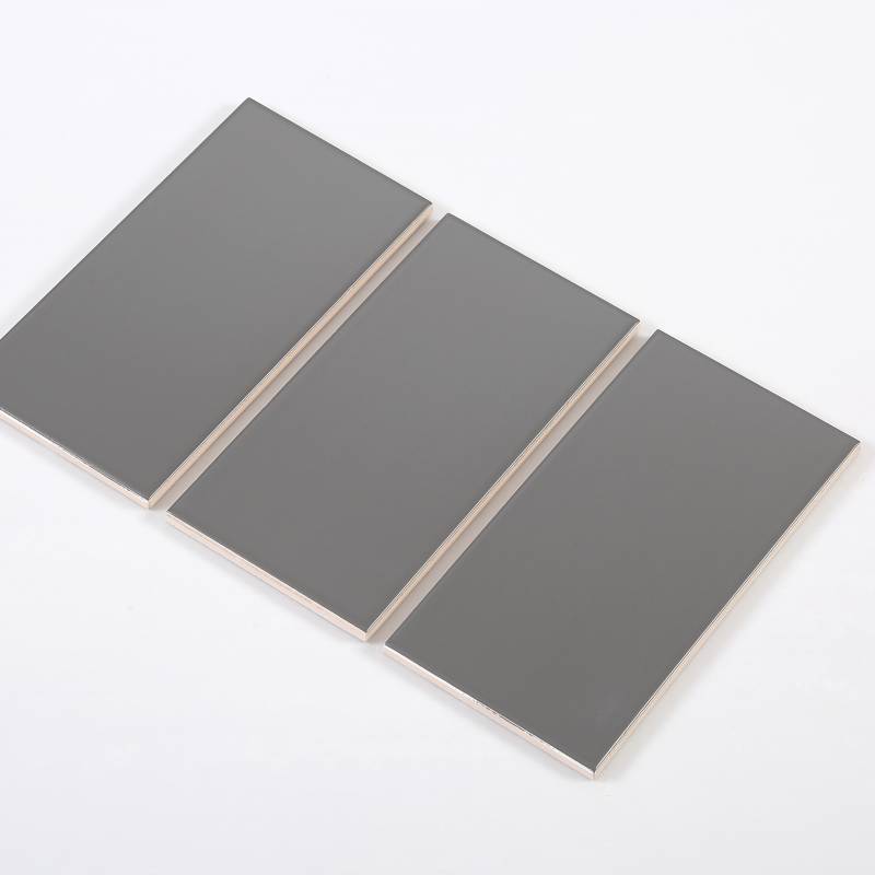 Gạch thẻ màu xám đậm mờ phẳng KT 100*200mm M1203Y