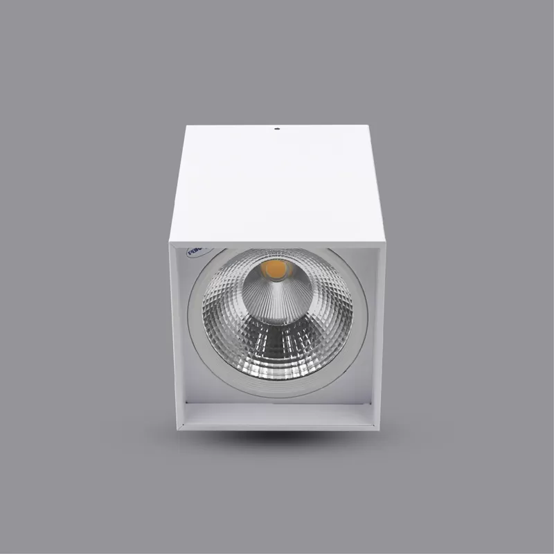 Đèn Downlight Gắn Nổi PSDLL182L25