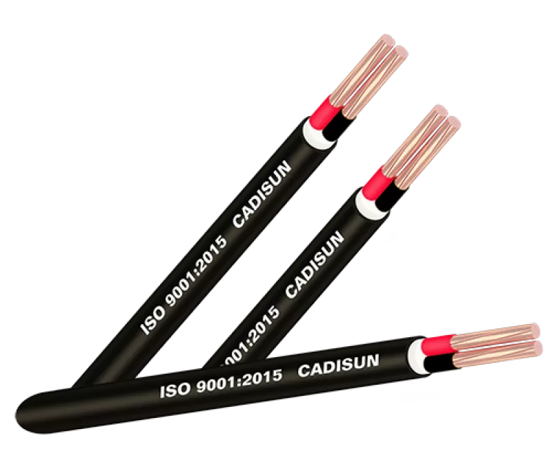 Cáp đồng 2 ruột, bọc cách điện PVC, vỏ bọc PVC -CVV2X