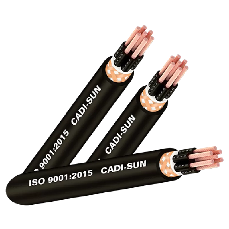 Cáp điều khiển có lưới chống nhiễu -DVV/SB