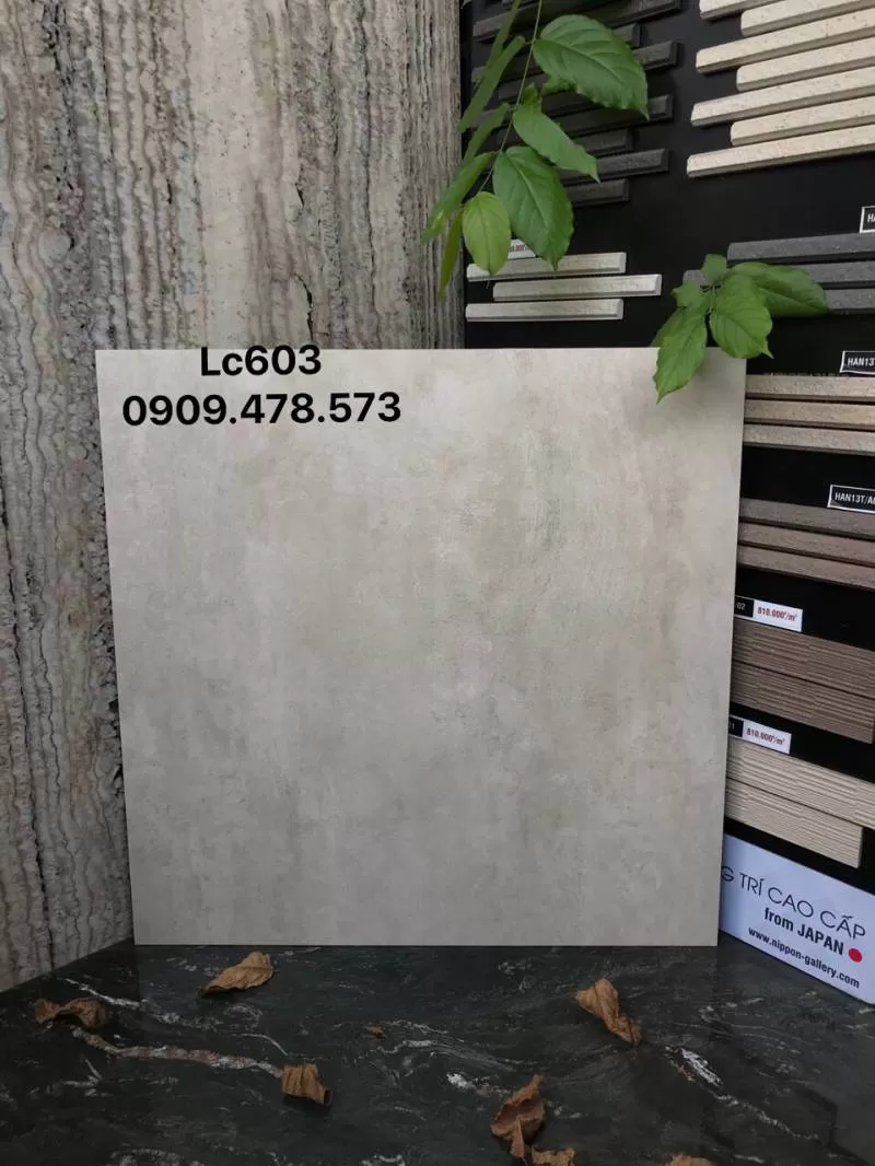 Gạch Kis LC603