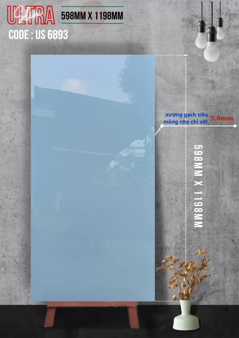 APODIO US 6893 (598x1198x5.8mm)