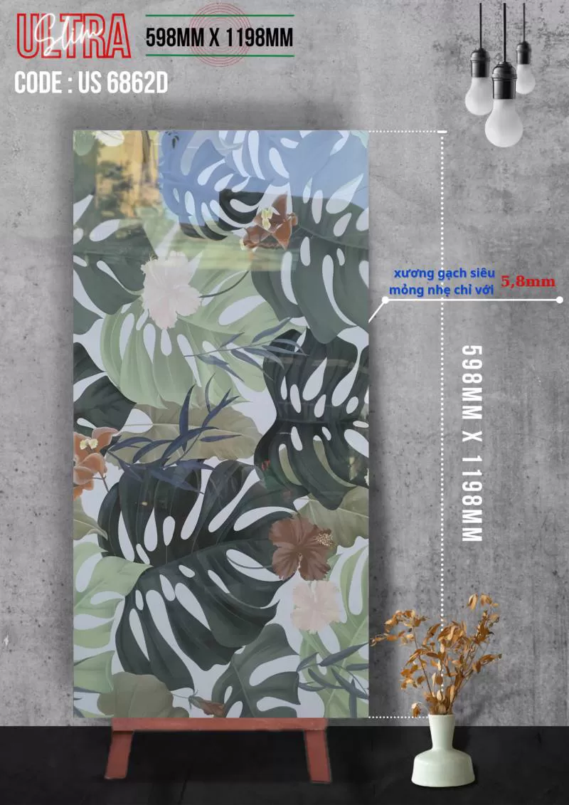 APODIO US 6862 (598x1198x5.8mm)