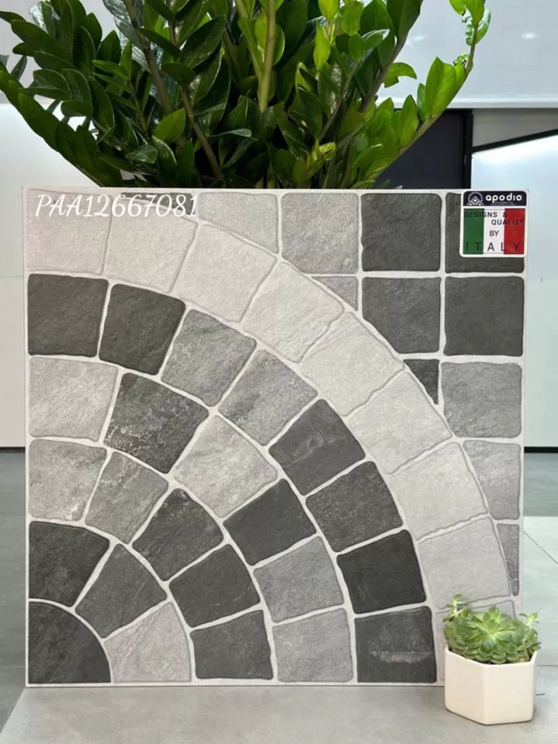 APODIO PAA12667081 (dày 12mm)