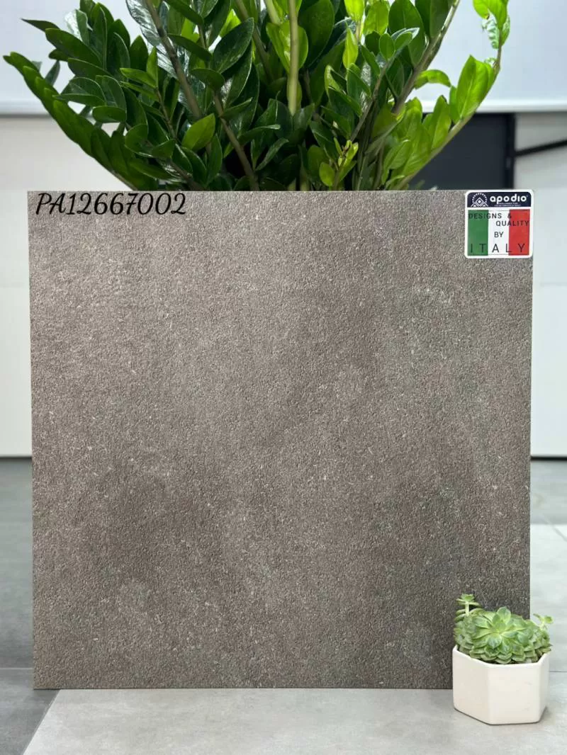 APODIO PA12667002 (dày 12mm)