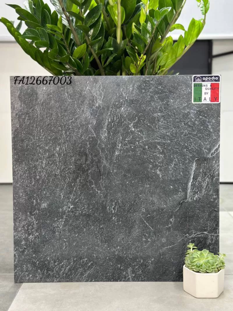 APODIO FA12667003 (dày 12mm)