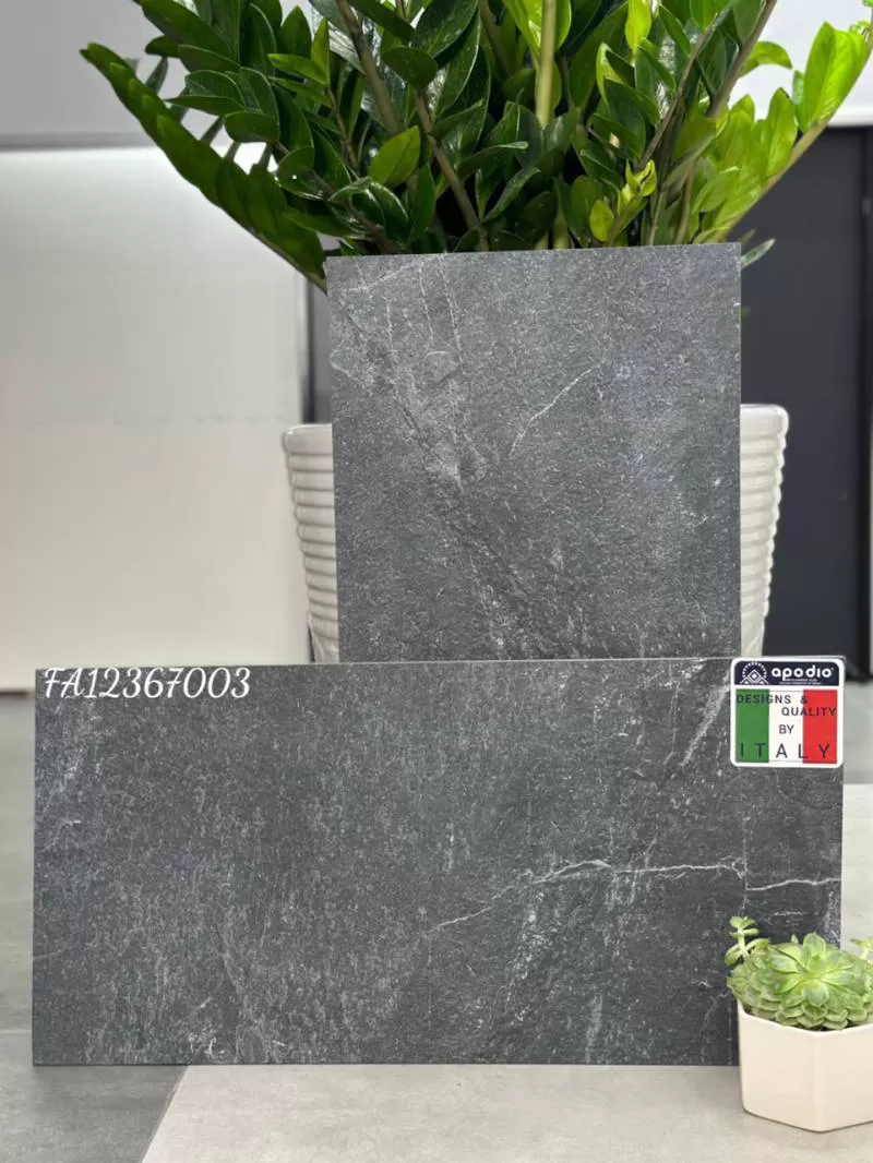 APOIDO FA12367003 (dày 12mm)