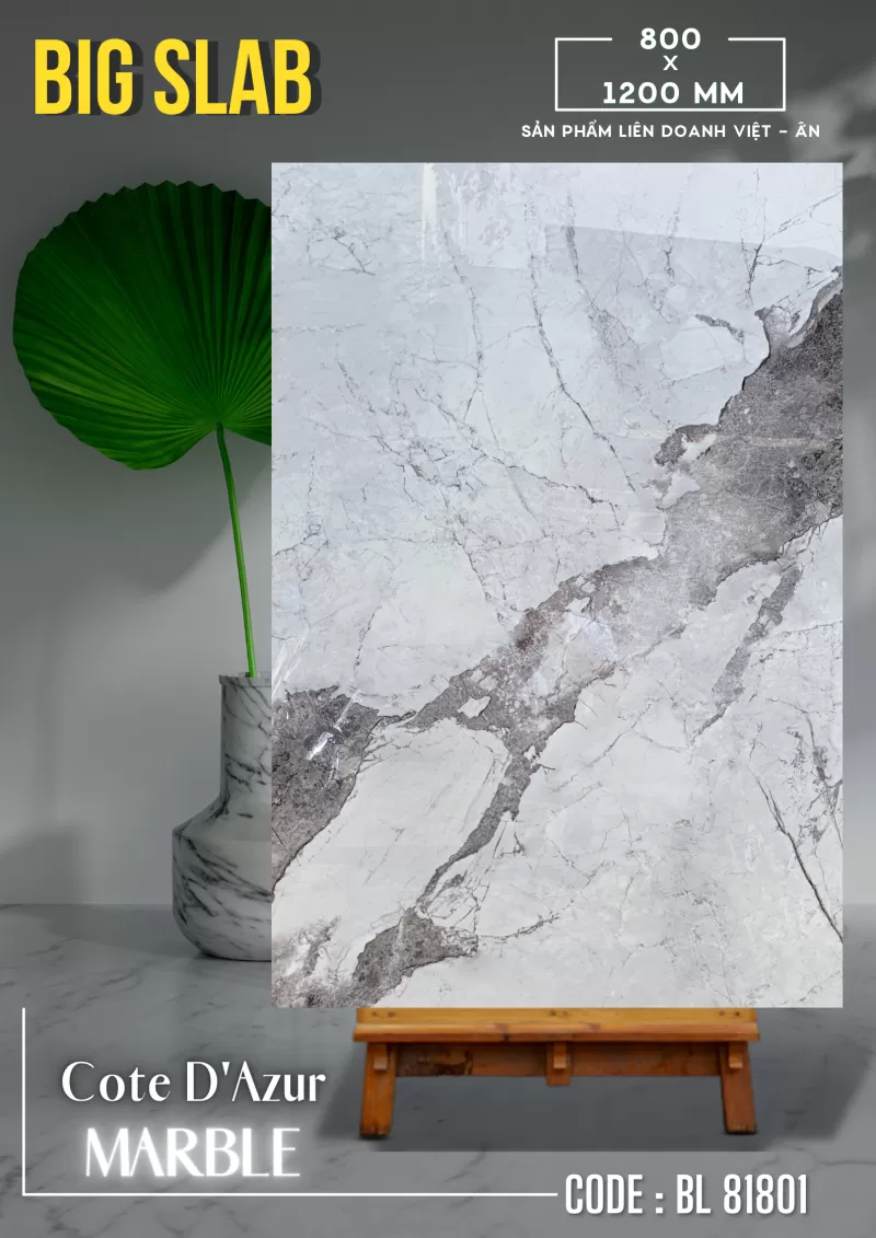 APODIO BL 81801 Big Slab