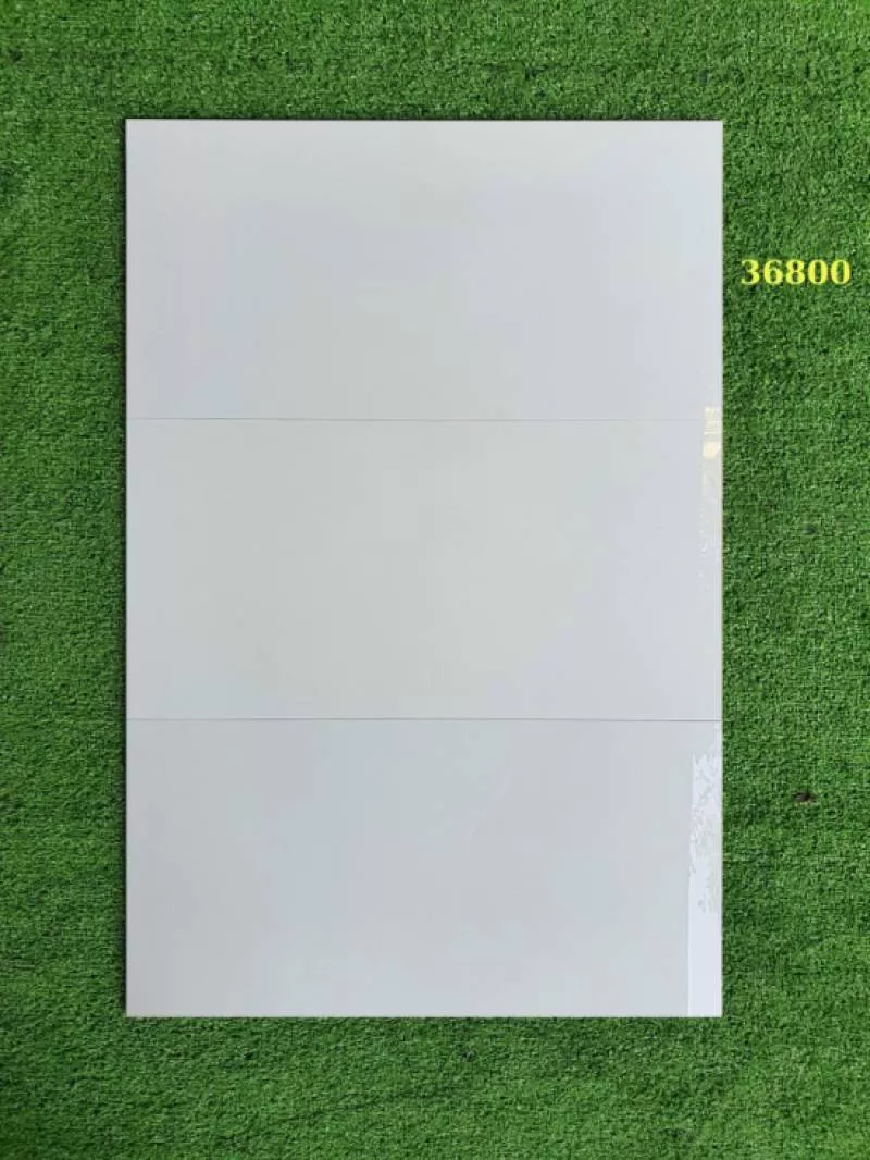 APODIO 36800 (Bóng)