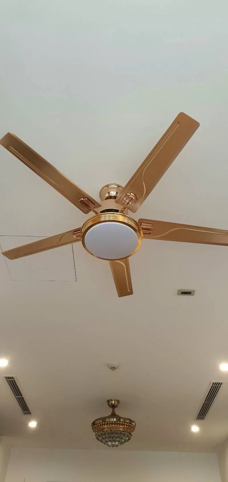 Quạt HTQ-35 cánh vàng