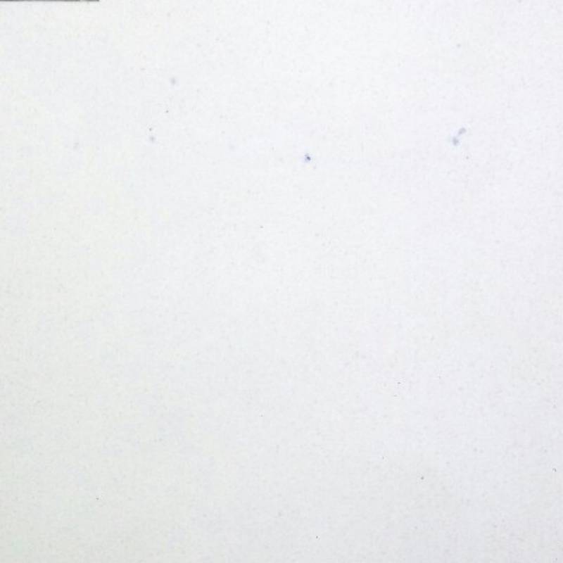 Gạch ốp tường trang trí classic RSS055