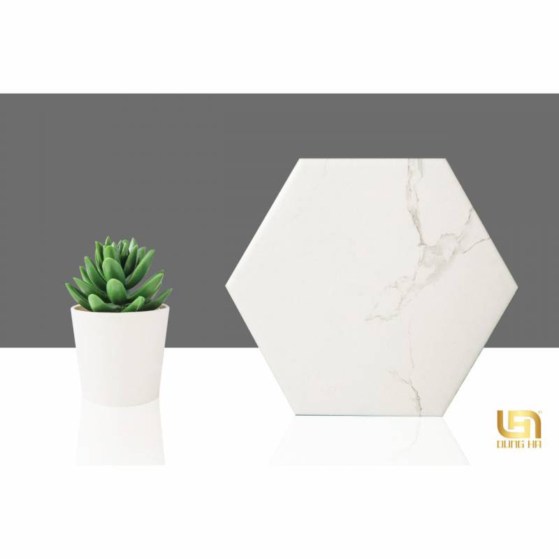 Gạch bông lục giác nhập khẩu 20x23cm 23001