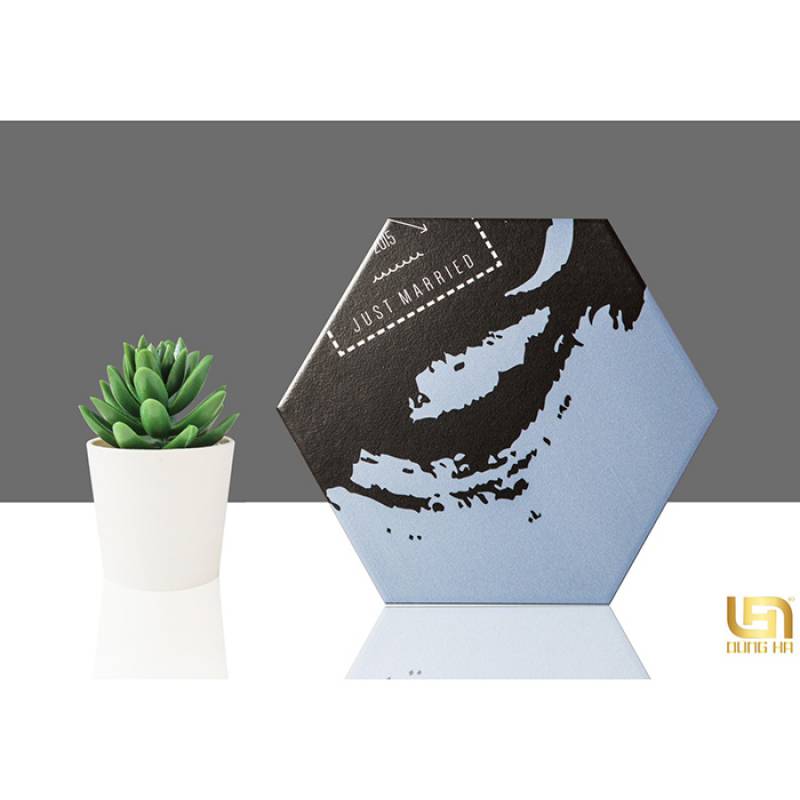 Gạch bông lục giác nhập khẩu 20x23cm 23022-2