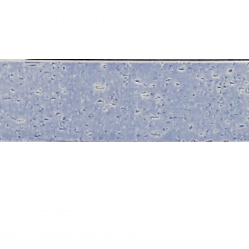 Gạch thẻ trang trí ốp tường hình chữ nhật 60x240mm màu xanh 240JFK007