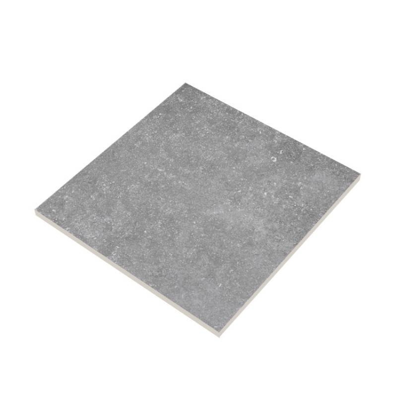 Gạch lát nền chống trơn men mờ 600*600mm màu xám VR16603M