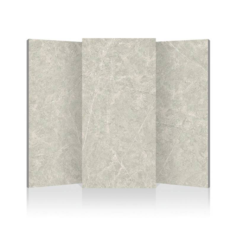 Gạch lát nền 600x1200mm 612F008 màu xám