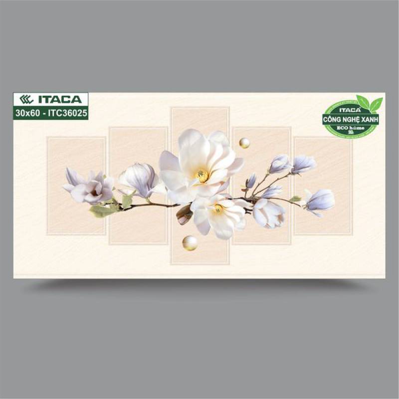 Gạch ốp tường phòng tắm Itaca 300x600mm ICT36025