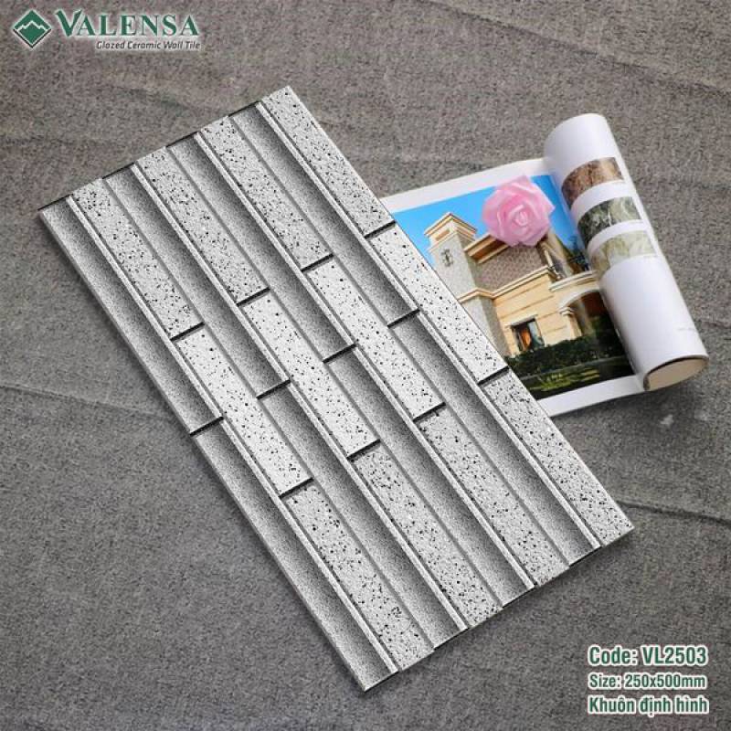 Gạch ốp tường trang trí Valensa 200x400mm VL2503