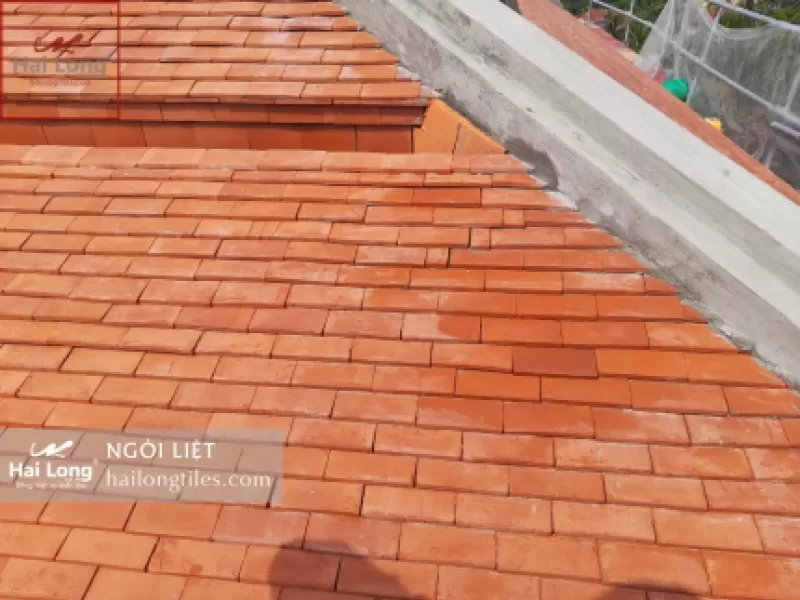 Ngói liệt Hải Long tone màu hỏa biến tự nhiên