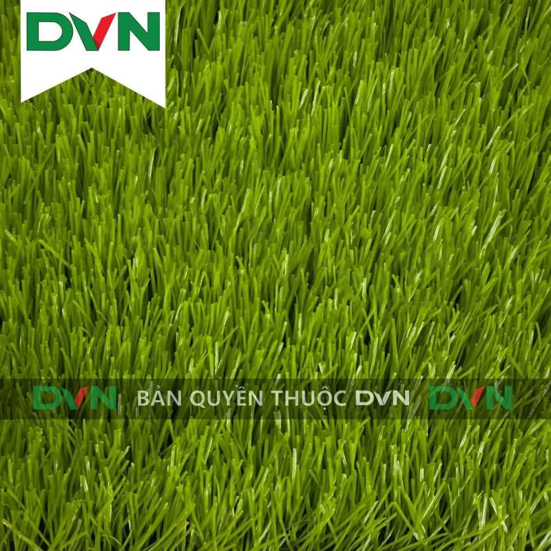 Cỏ sân bóng DVN 15S-50413-8