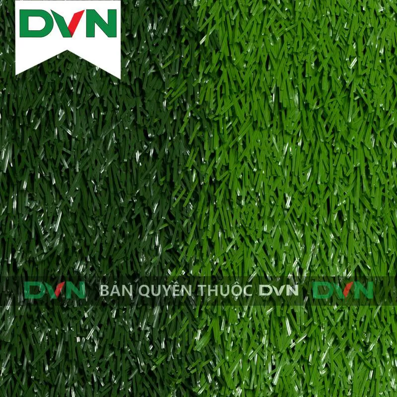 Cỏ sân bóng DVN 15S-50216-8