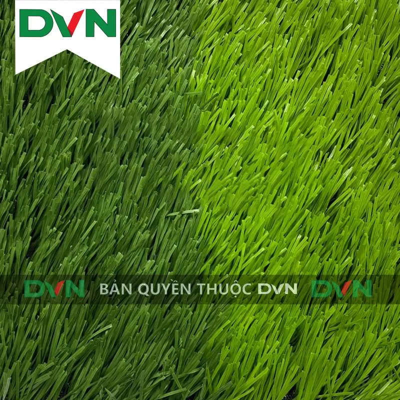 Cỏ sân bóng DVN 18S-50216-8