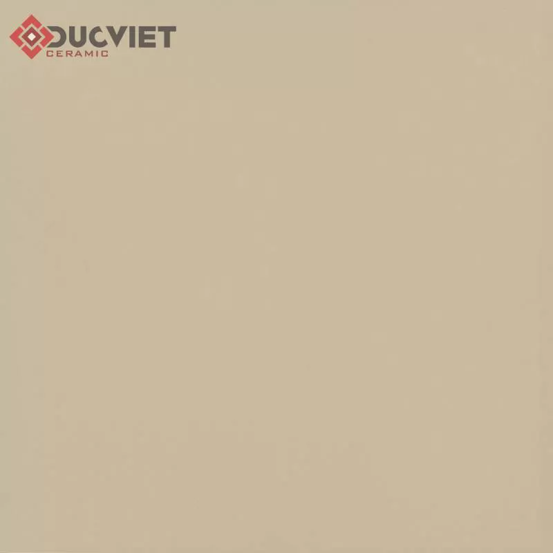 Gạch 80x80 Viglacera TS5-802