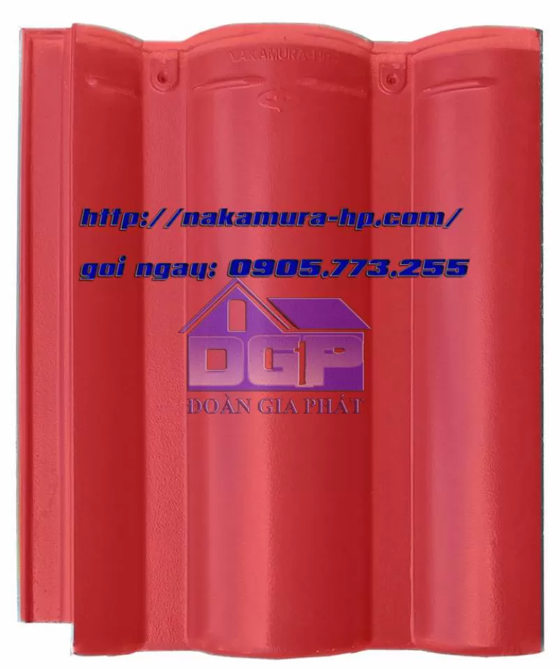 CHUYÊN PHÂN PHỐI NGÓI MẦU