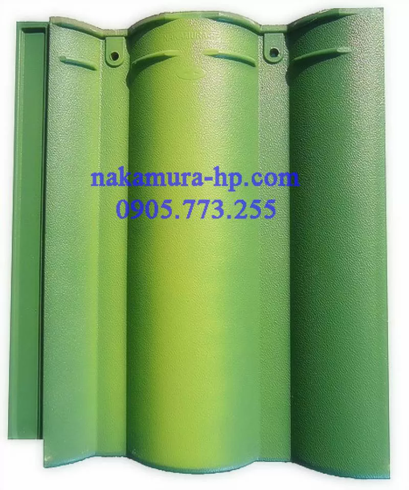 CHUYÊN PHÂN PHỐI NGÓI MẦU