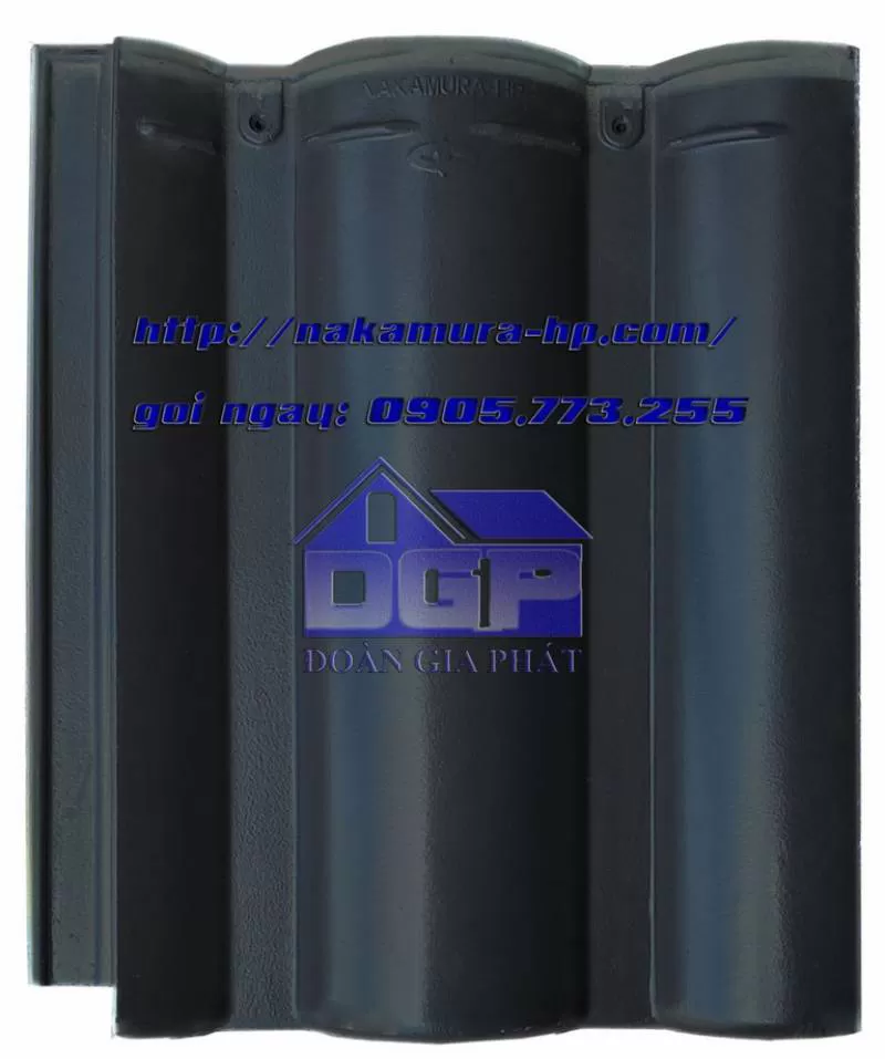 CHUYÊN PHÂN PHỐI NGÓI MẦU