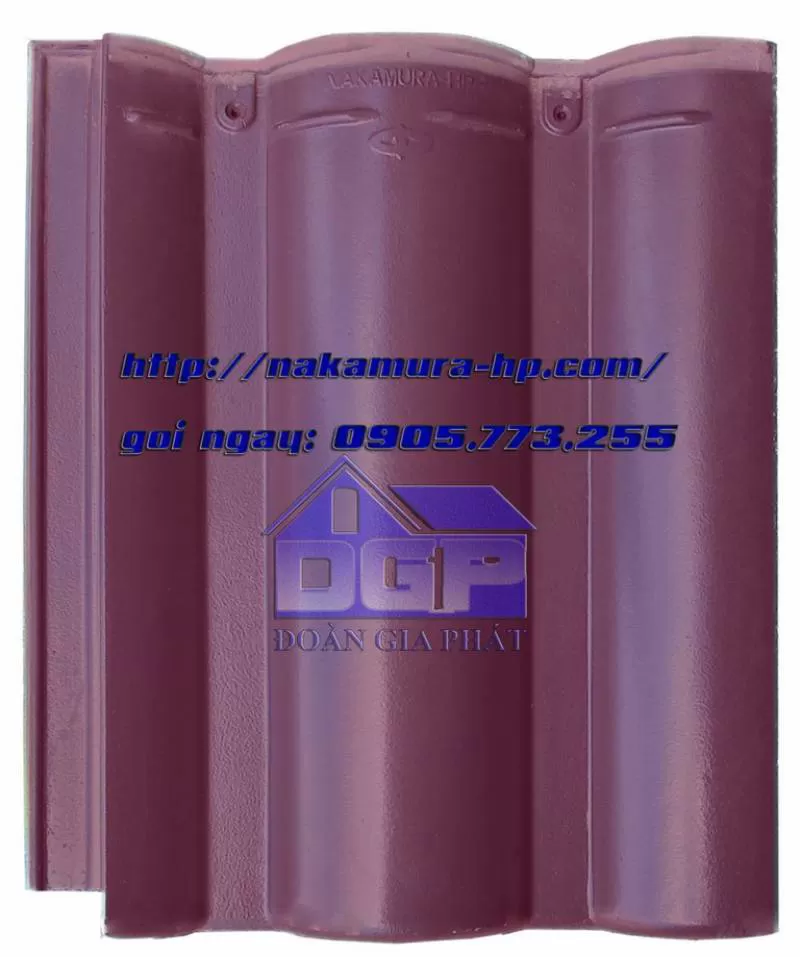CHUYÊN PHÂN PHỐI NGÓI MẦU