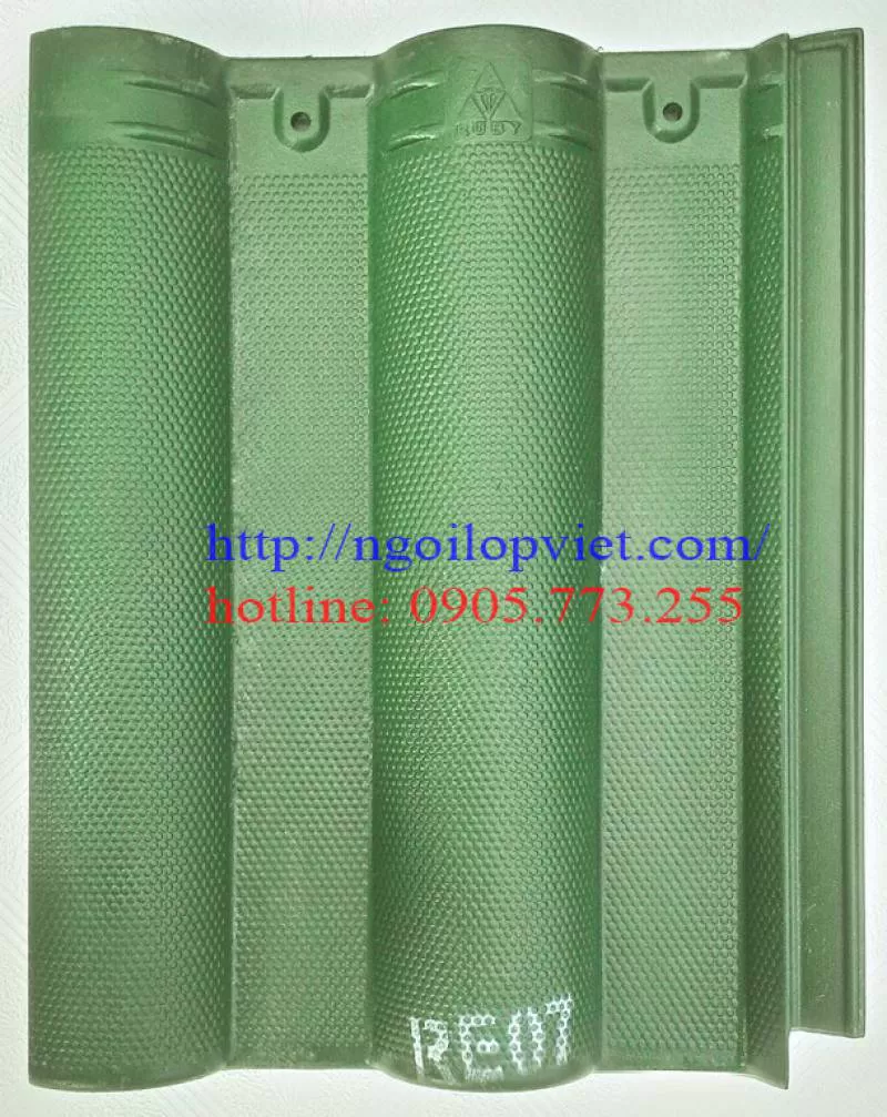 CHUYÊN PHÂN PHỐI NGÓI MẦU