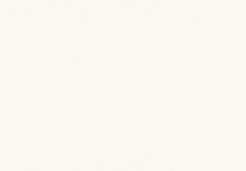 Giấy dán tường Nhật Bản BB9255