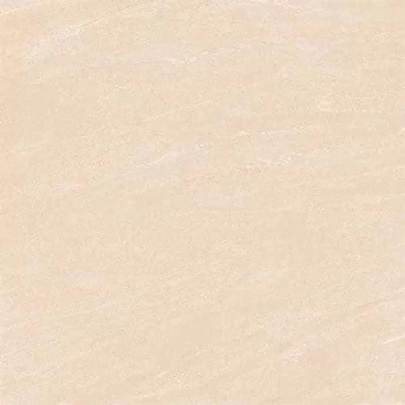 Gạch Lát Nền Viglacera Tm 603