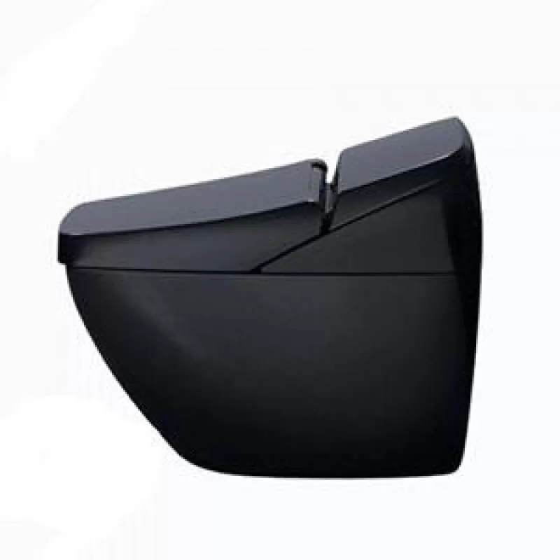 Bàn cầu cảm ứng Inax REGIO DV-R115VH-VN/BKG