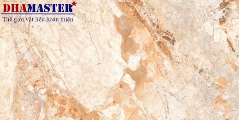 GẠCH ẤN ĐỘ 12092R 600x1200MM