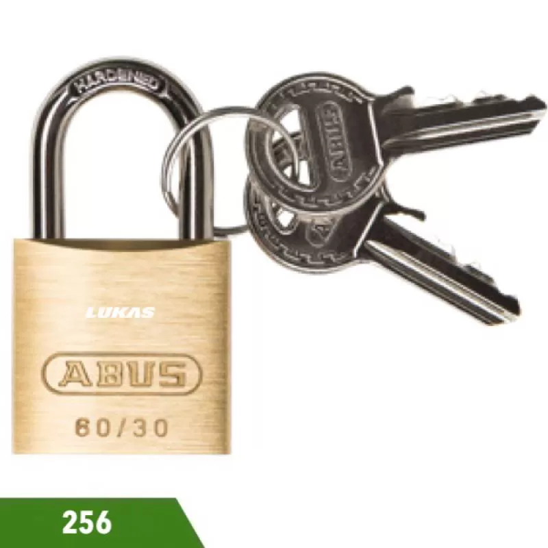 Ổ khóa 2 chìa cho thùng đồ nghề 256 Elora Germany 