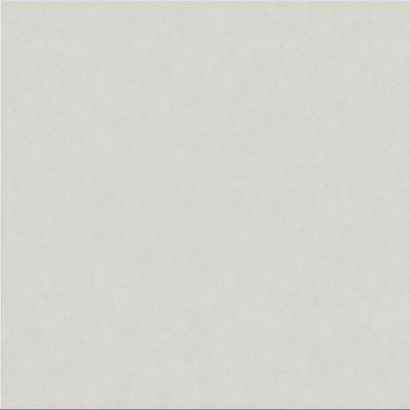 Gạch lát nền granite đồng chất Taicera G68025 - Saigon Tile