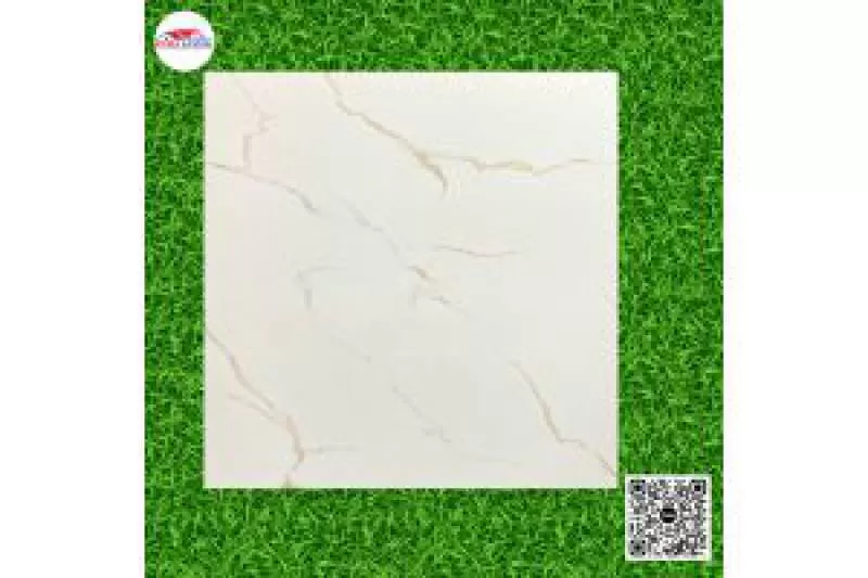 Gạch Tồn Kho Giá Rẻ 80x80 Đá Bóng Kiếng A1-CL91