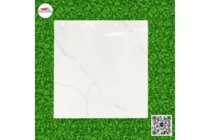 Gạch Tồn Kho Giá Rẻ 60x60 Đá Bóng Kiếng Trắng A-CL70
