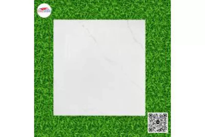 Gạch Tồn Kho Giá Rẻ 60x60 Đá Bóng Kiếng Trắng A-CL68