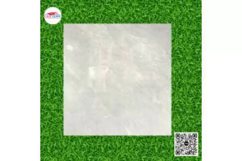 Gạch Tồn Kho Giá Rẻ 60x60 Đá Bóng Kiếng Xám A-CL53