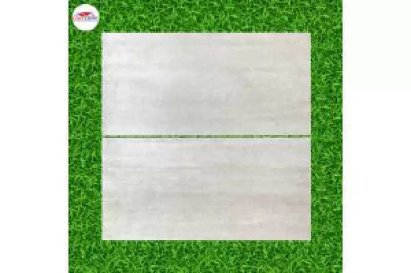 Gạch Tồn Kho Giá Rẻ 30x60 Đá Mờ Xám Vân Đá A1-CL16