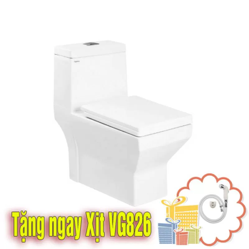 Bồn cầu két liền Viglacera V42
