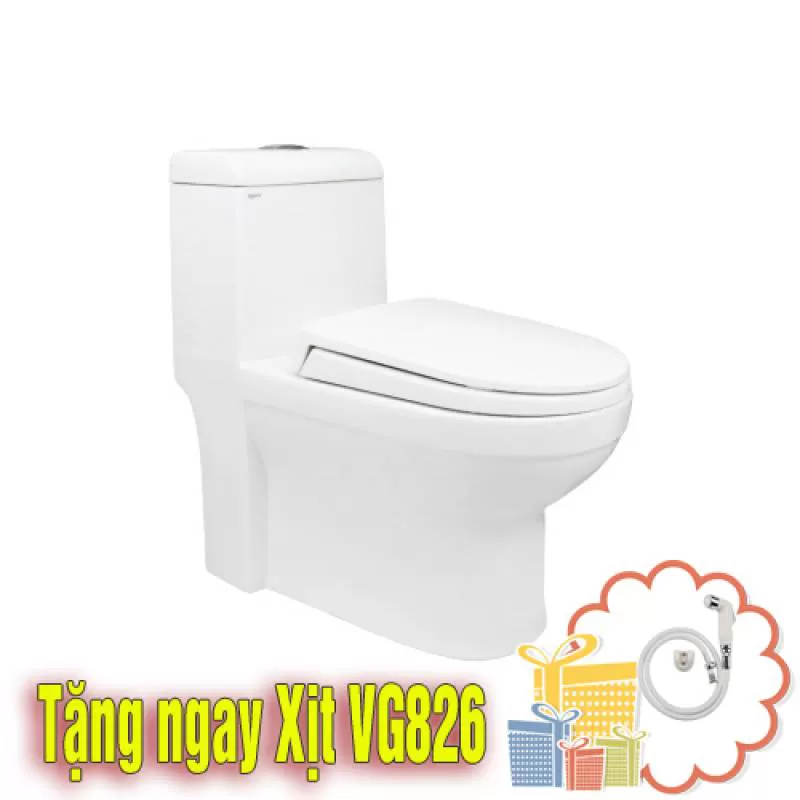 Bồn cầu két liền Viglacera V41